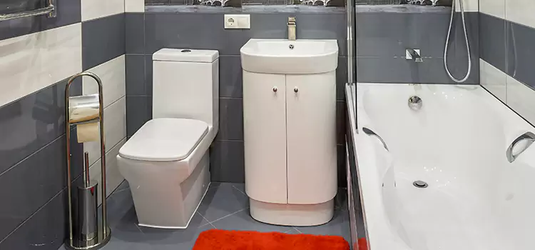 Hansgrohe Shaving Mirror Elmont